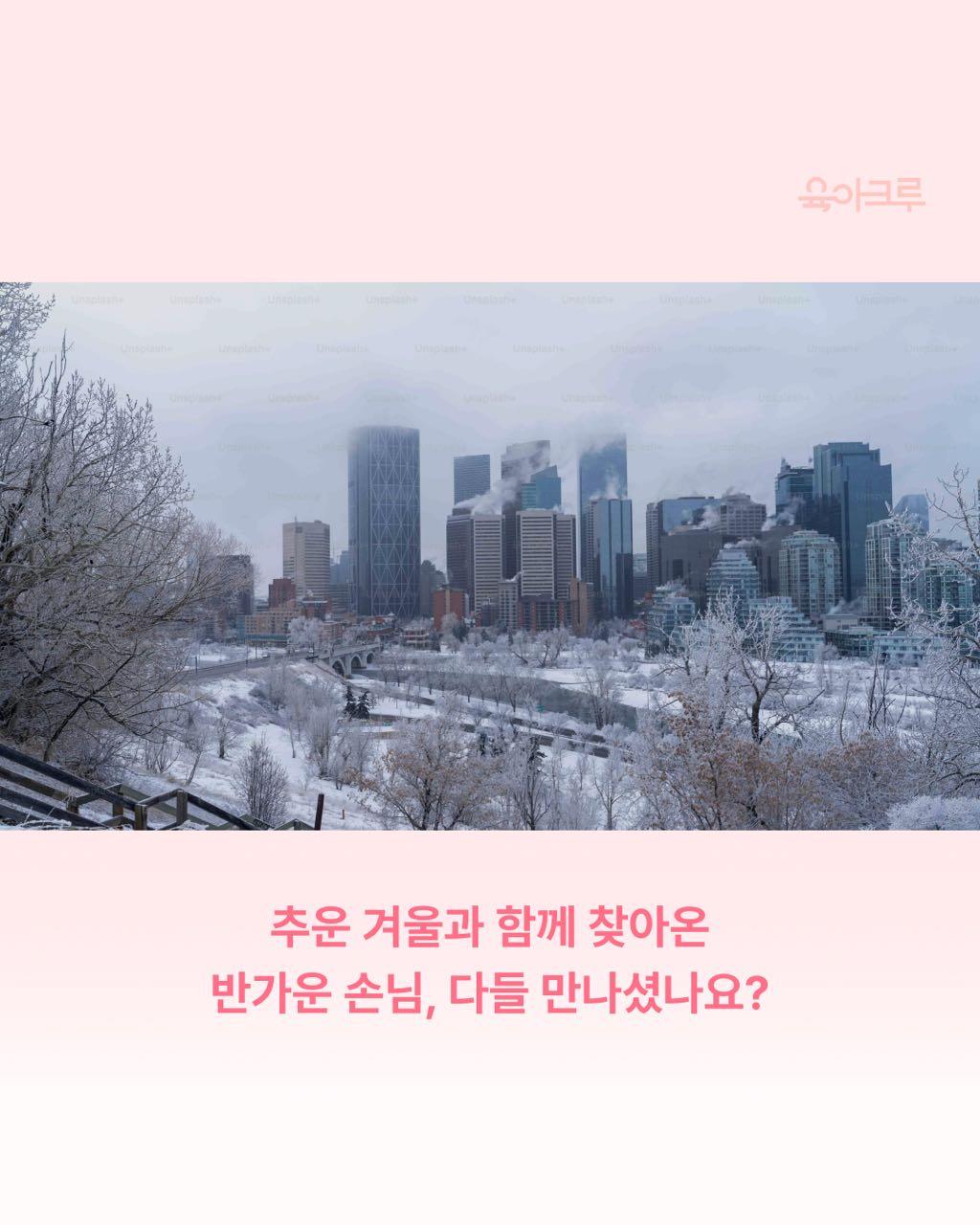크루톡 이미지 2