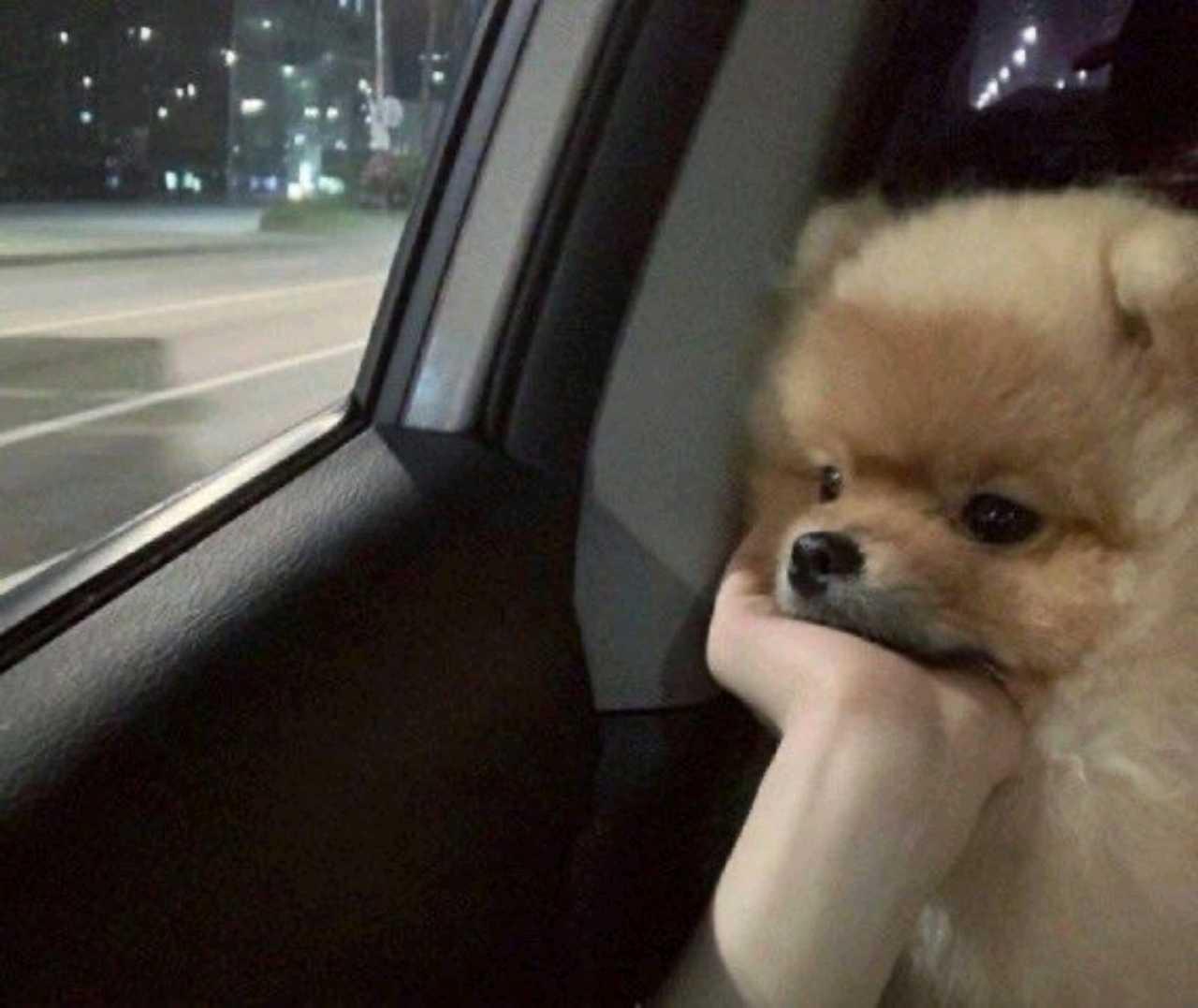 크루톡 이미지 1