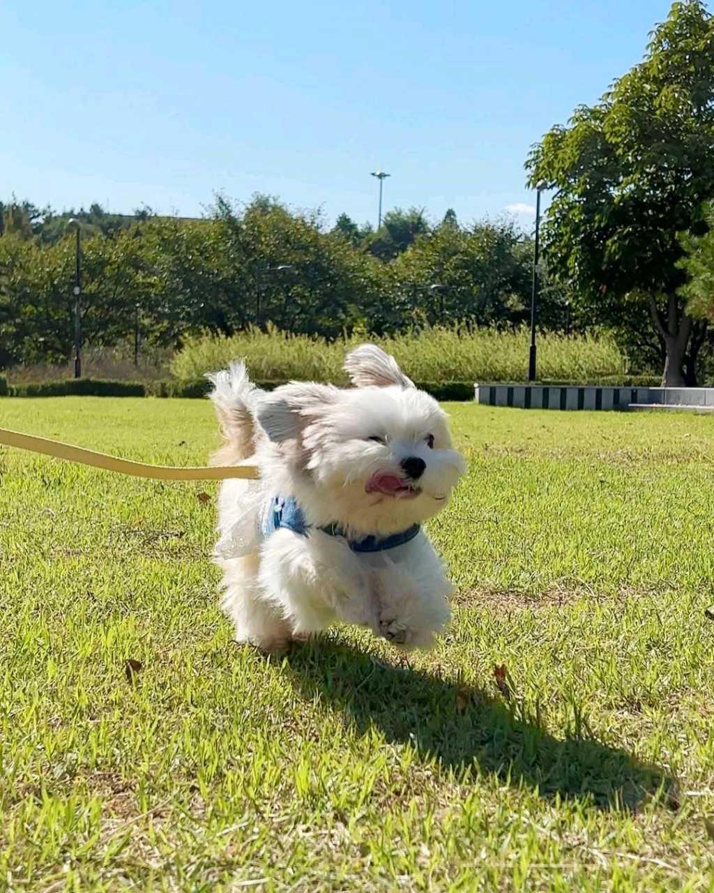 크루톡 이미지 1