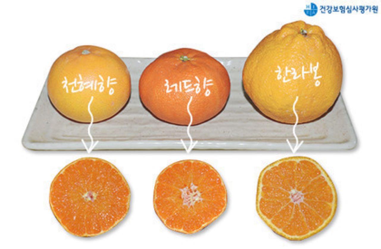 크루톡 이미지