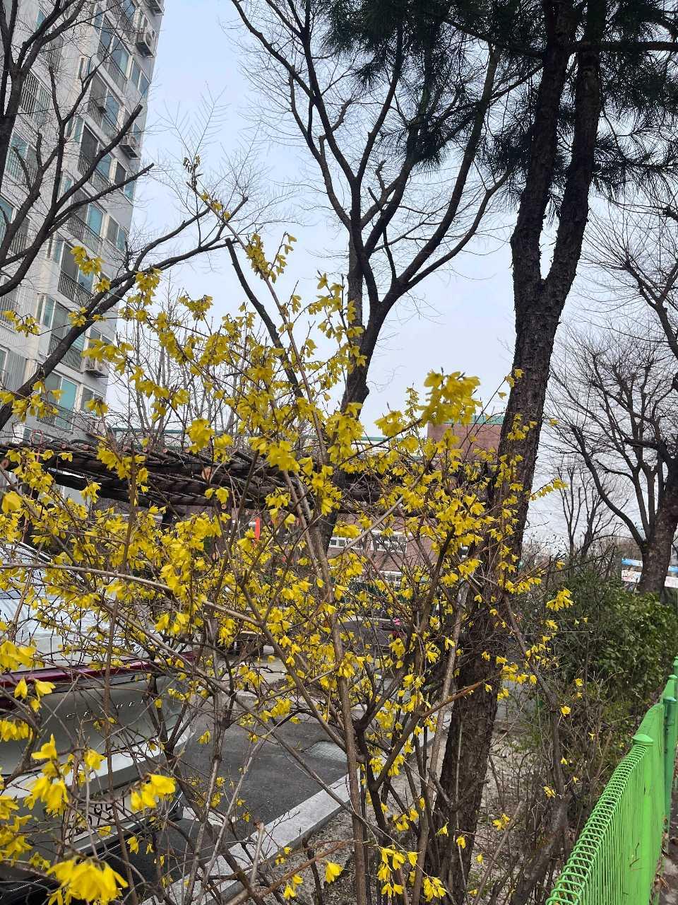 크루톡 이미지
