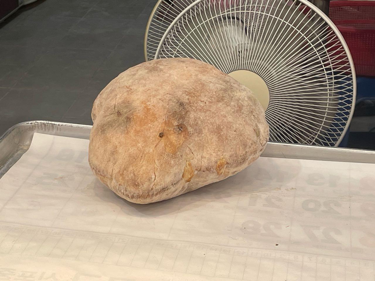 크루톡 이미지