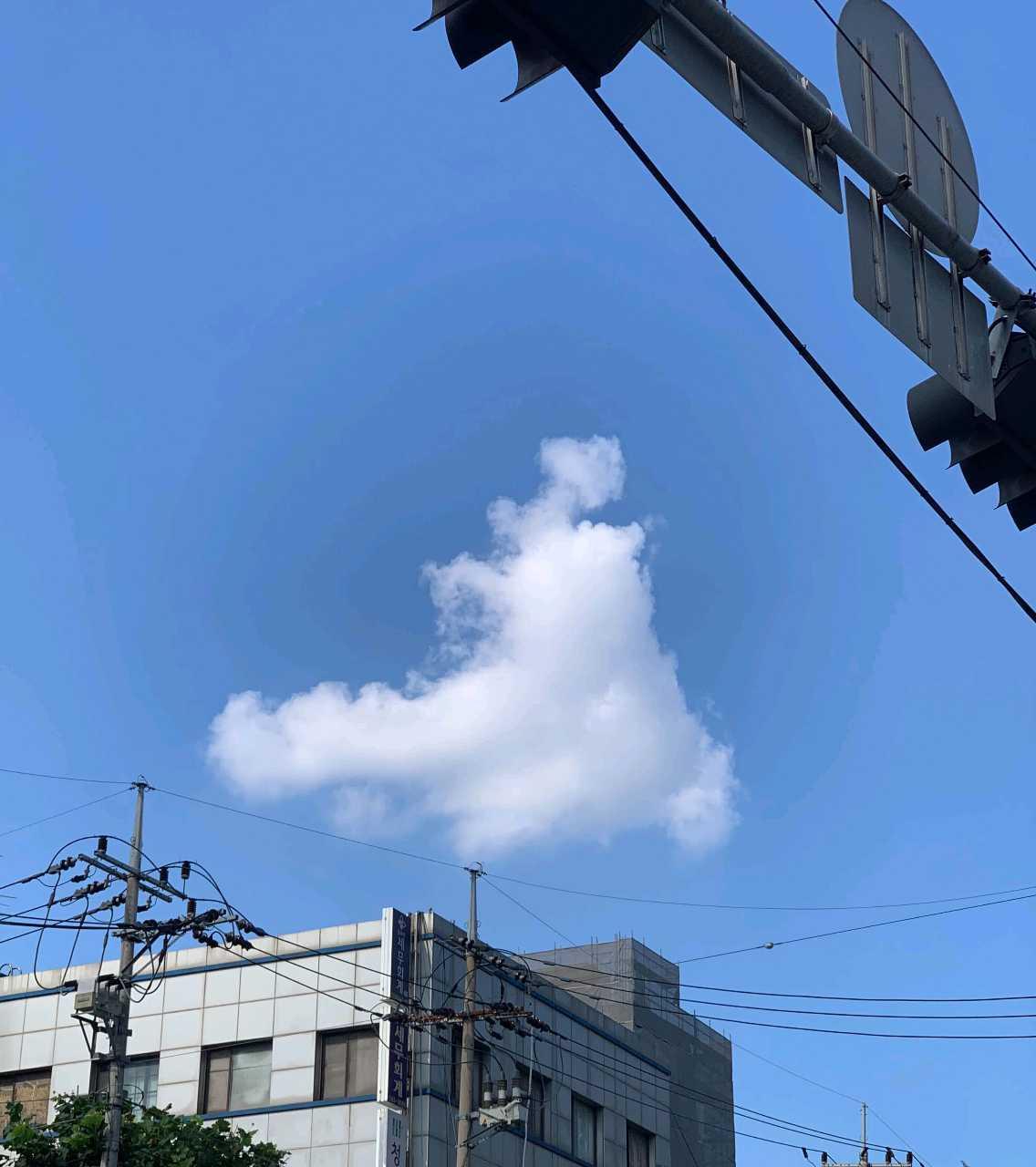 크루톡 이미지