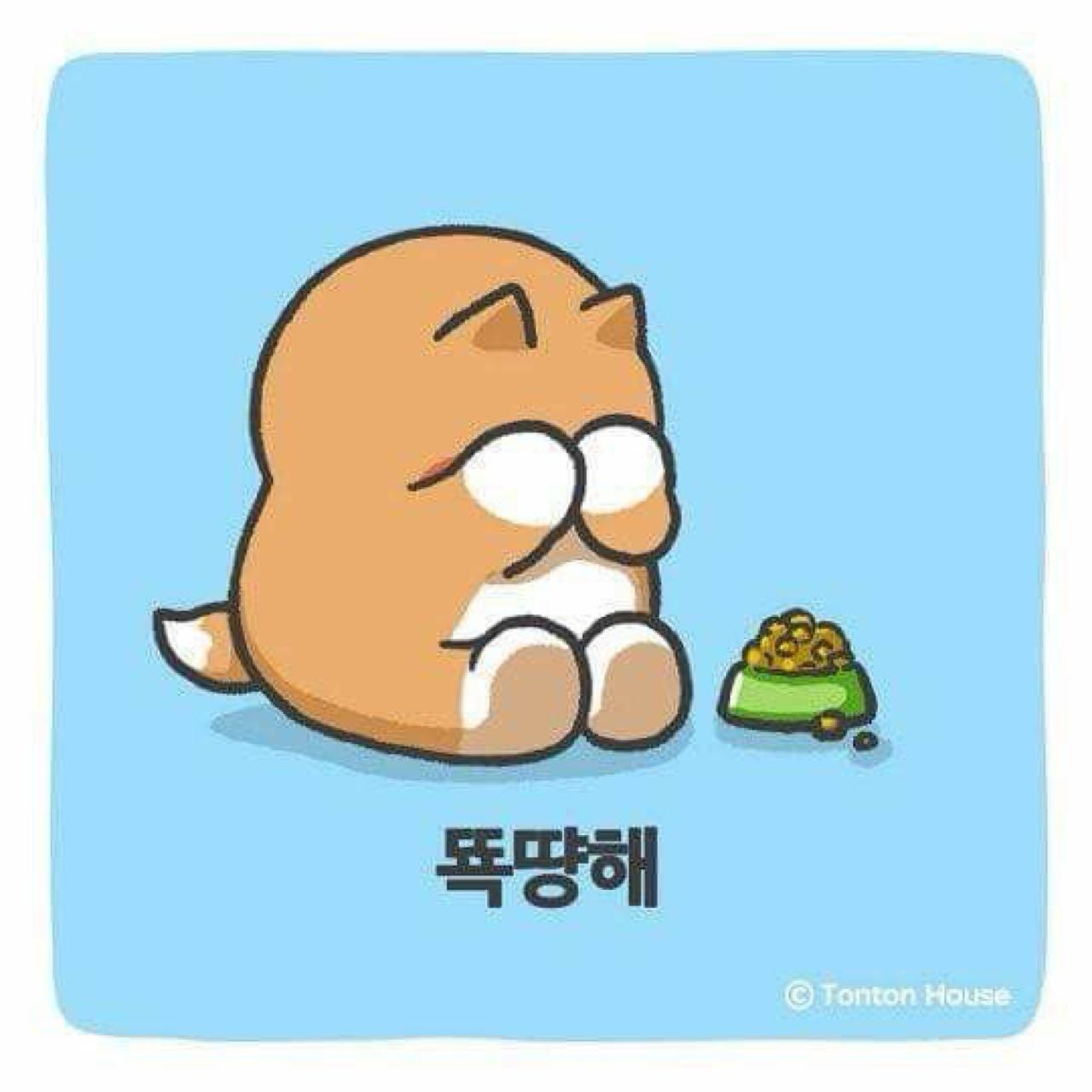 크루톡 이미지