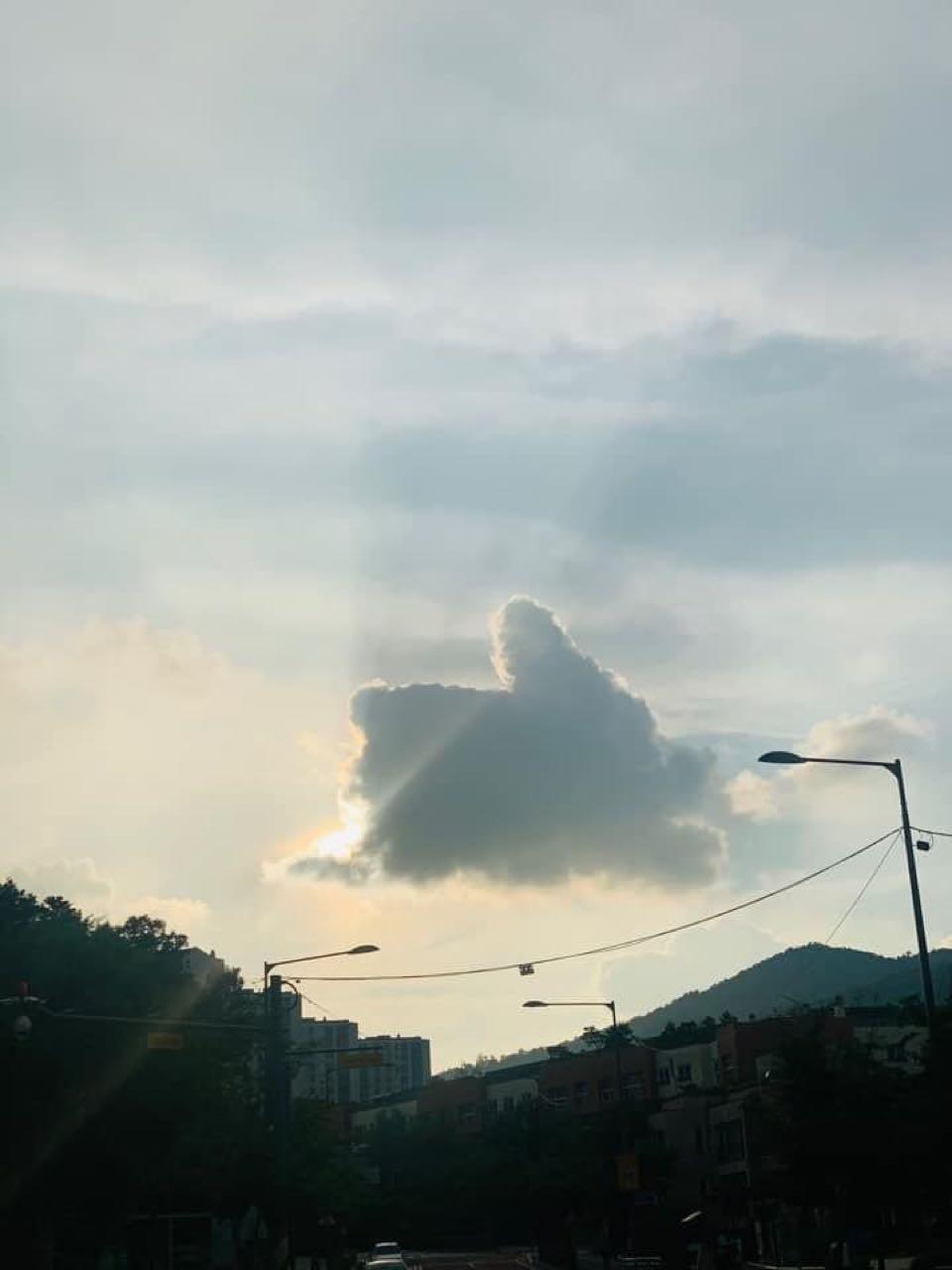 크루톡 이미지