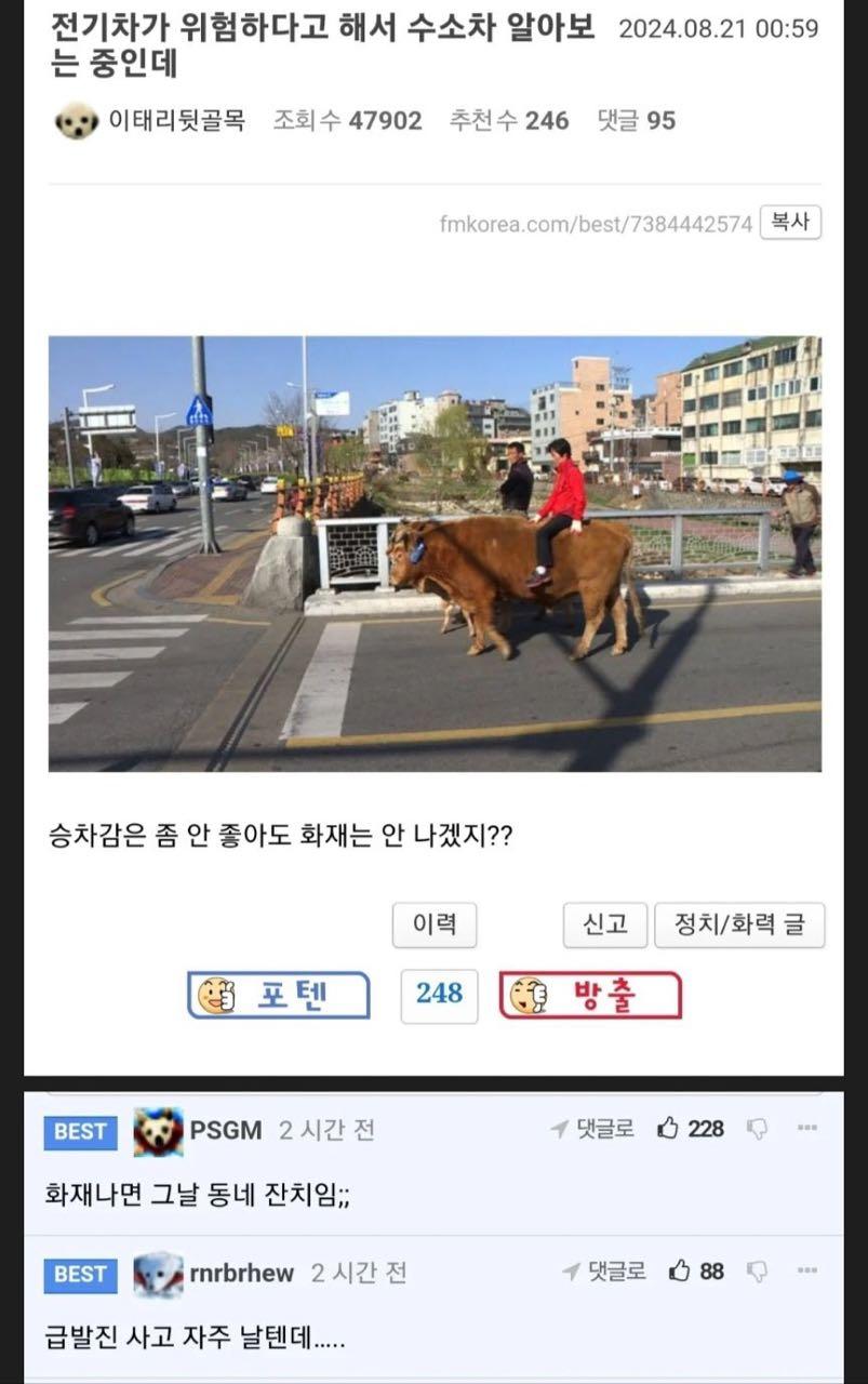 크루톡 이미지