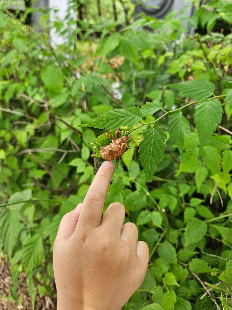 크루톡 이미지