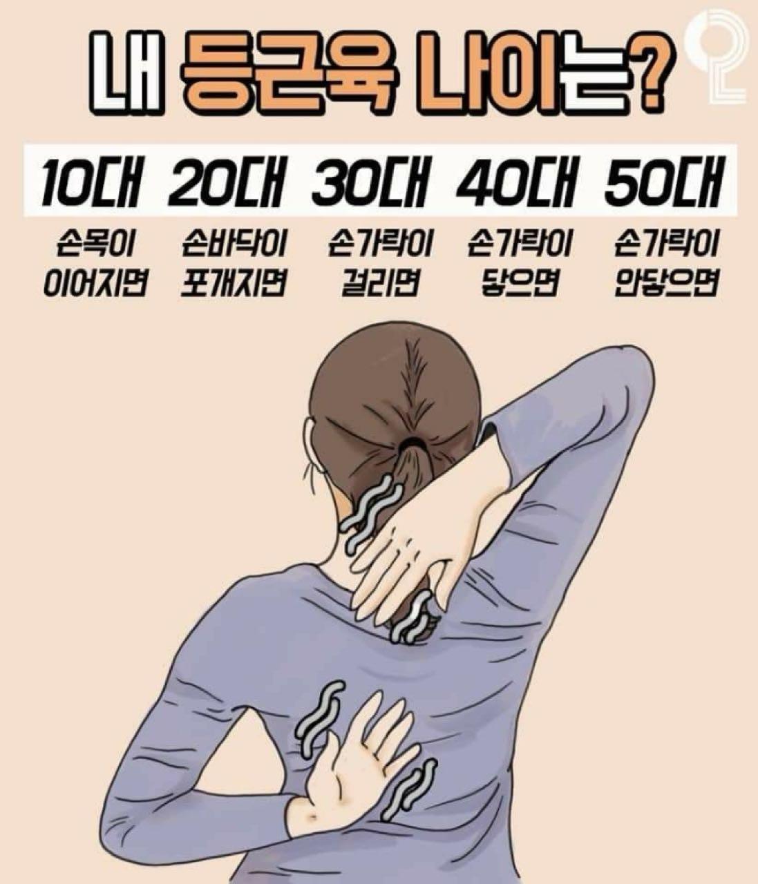 크루톡 이미지