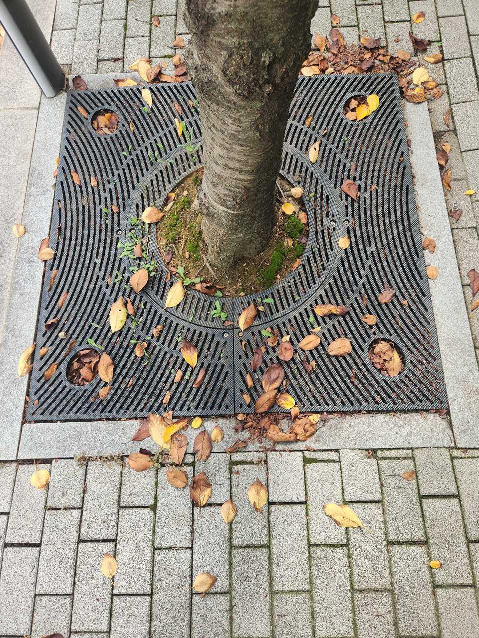 크루톡 이미지