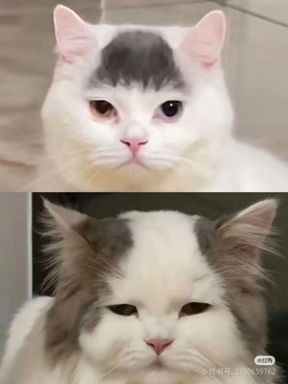 크루톡 이미지