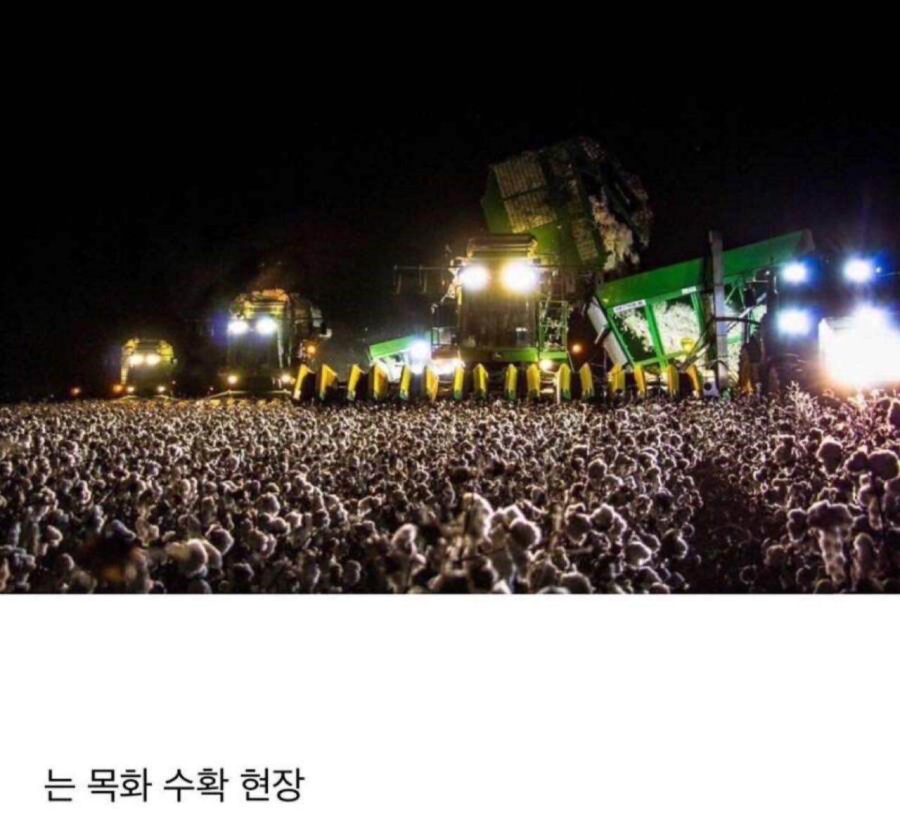 크루톡 이미지