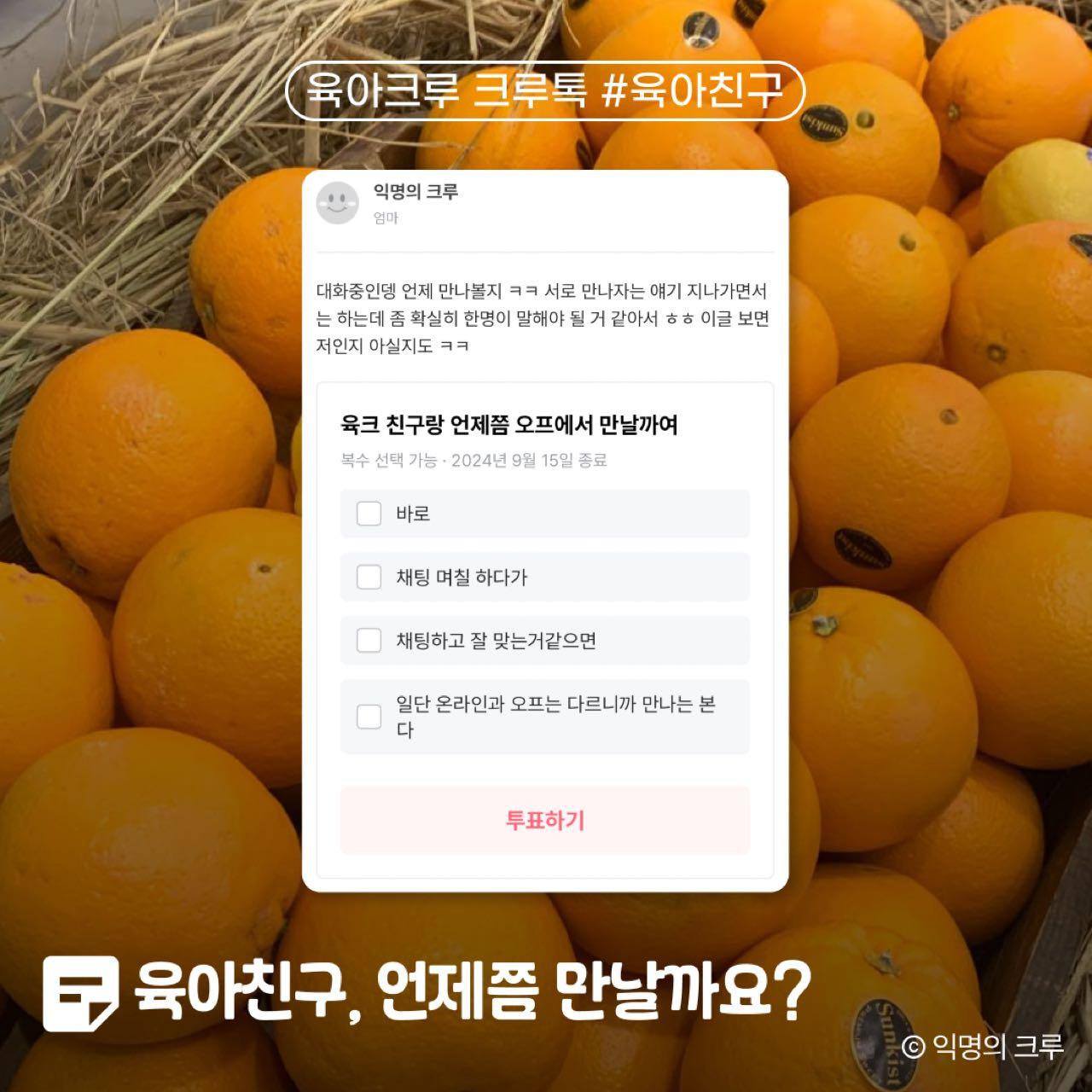 크루톡 이미지