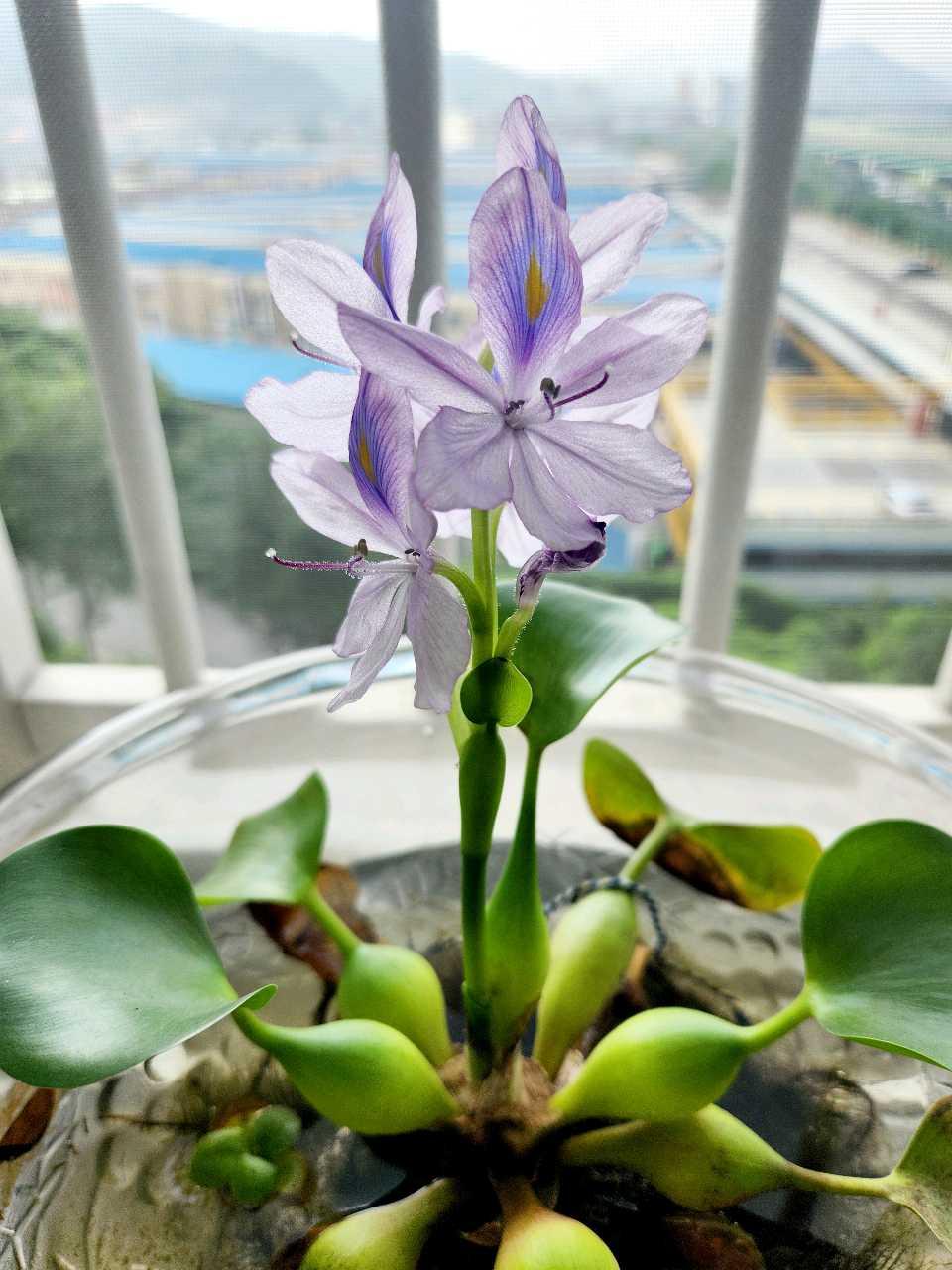 크루톡 이미지 1