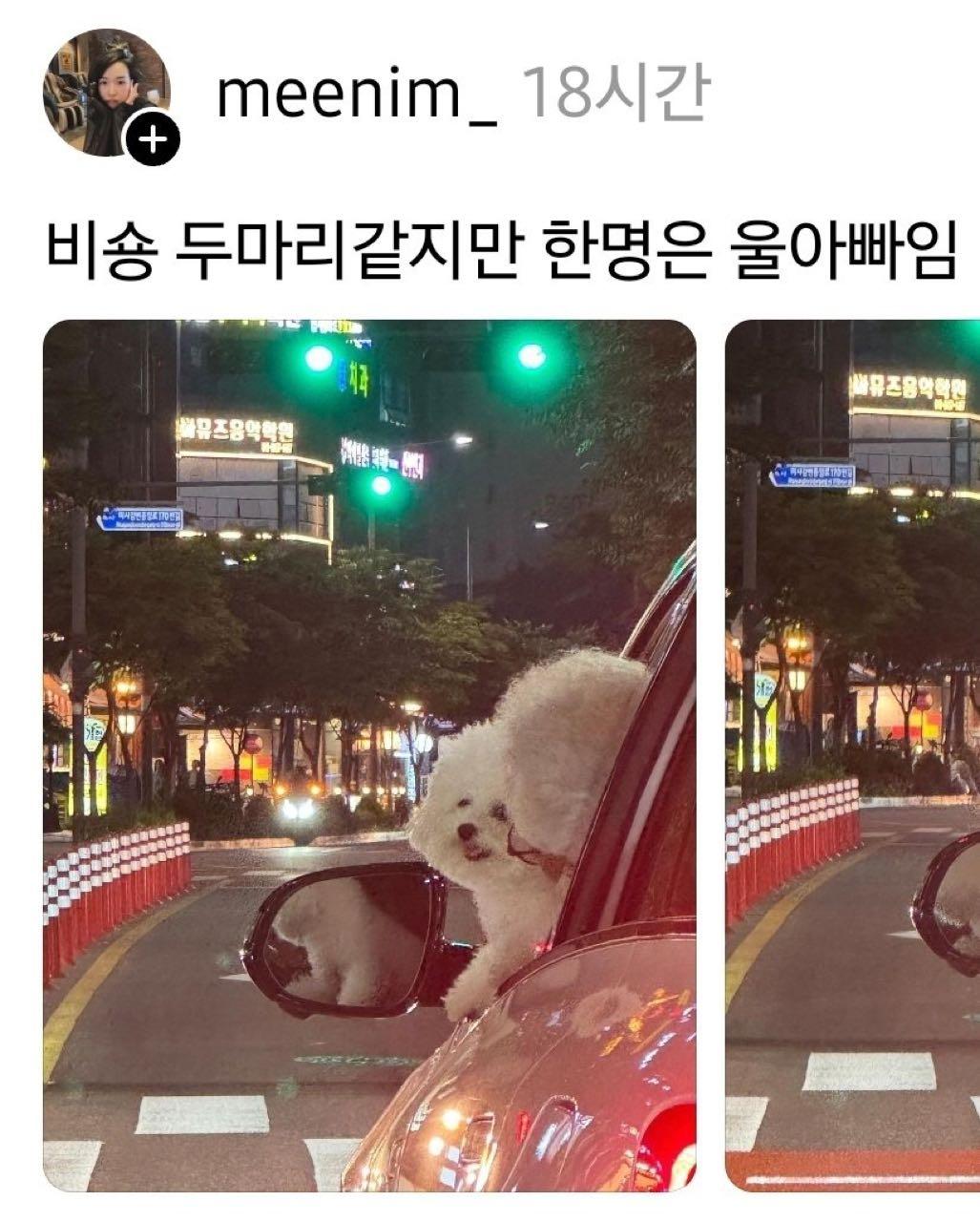크루톡 이미지