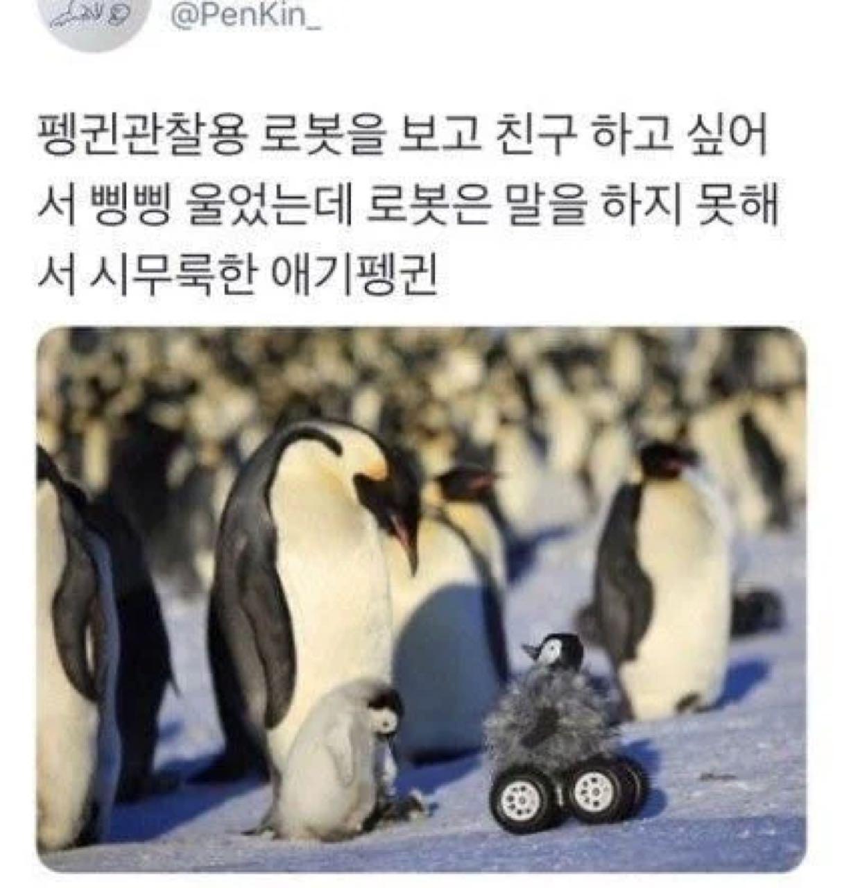 크루톡 이미지