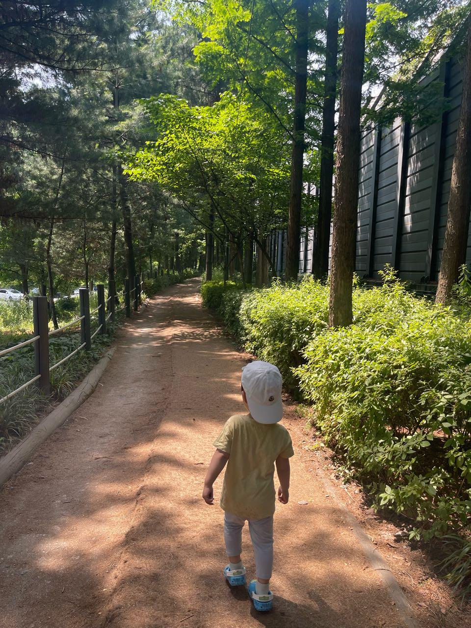 크루톡 이미지