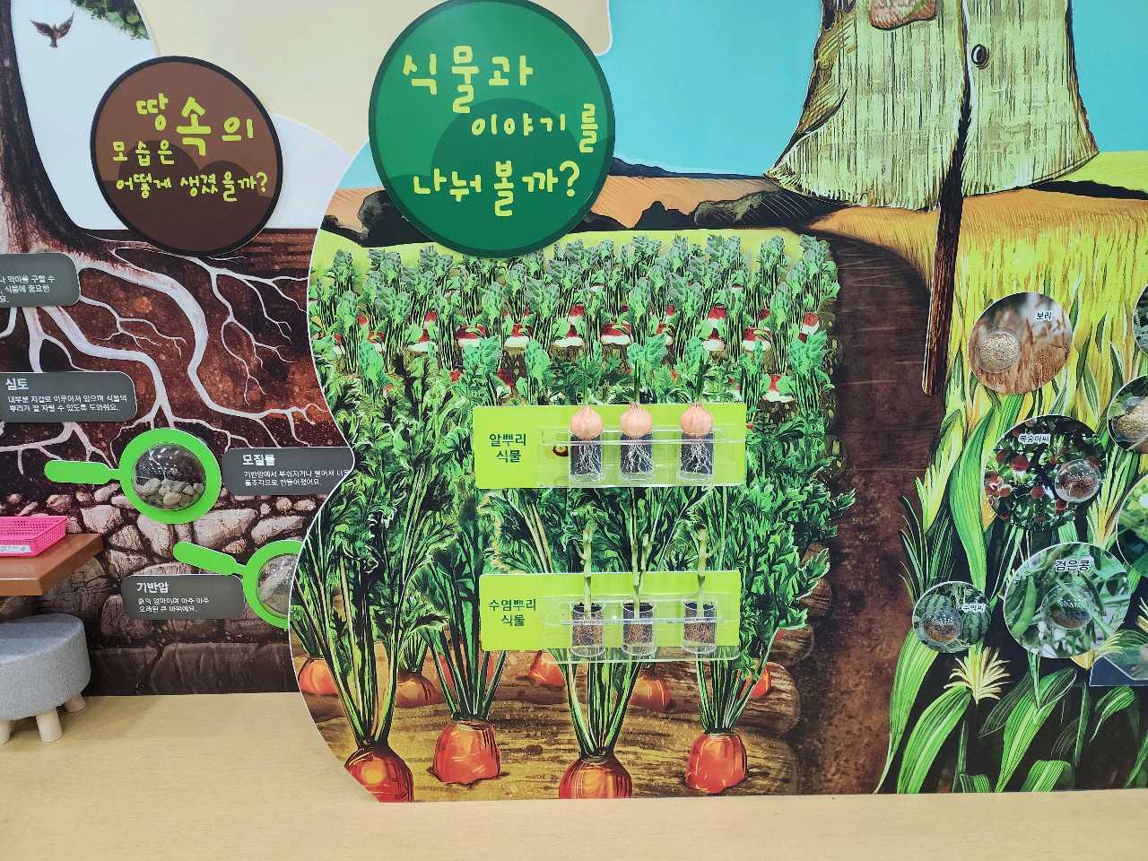 크루톡 이미지