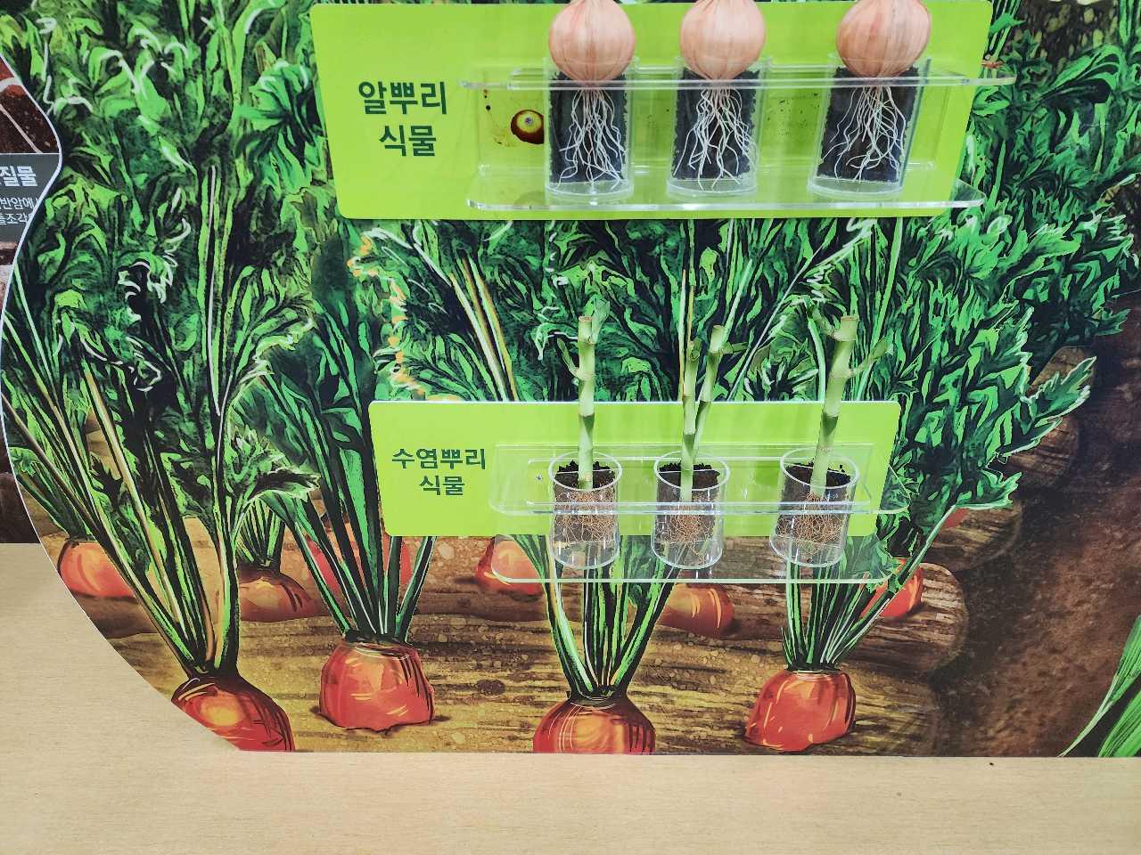 크루톡 이미지