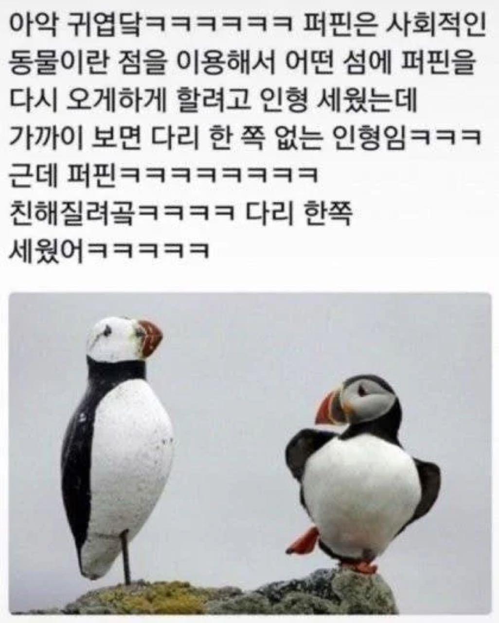 크루톡 이미지