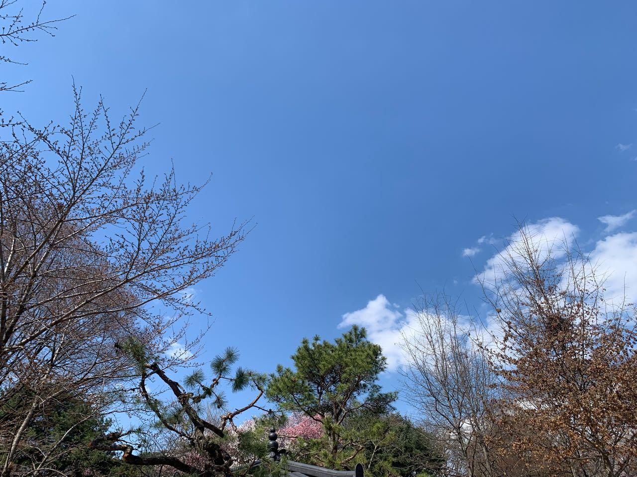 크루톡 이미지