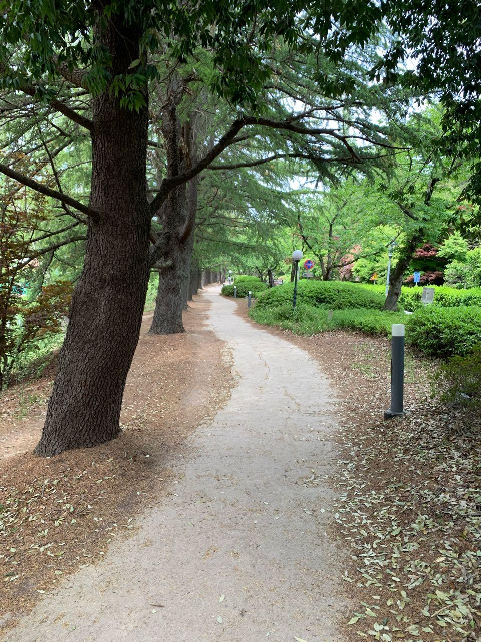 크루톡 이미지