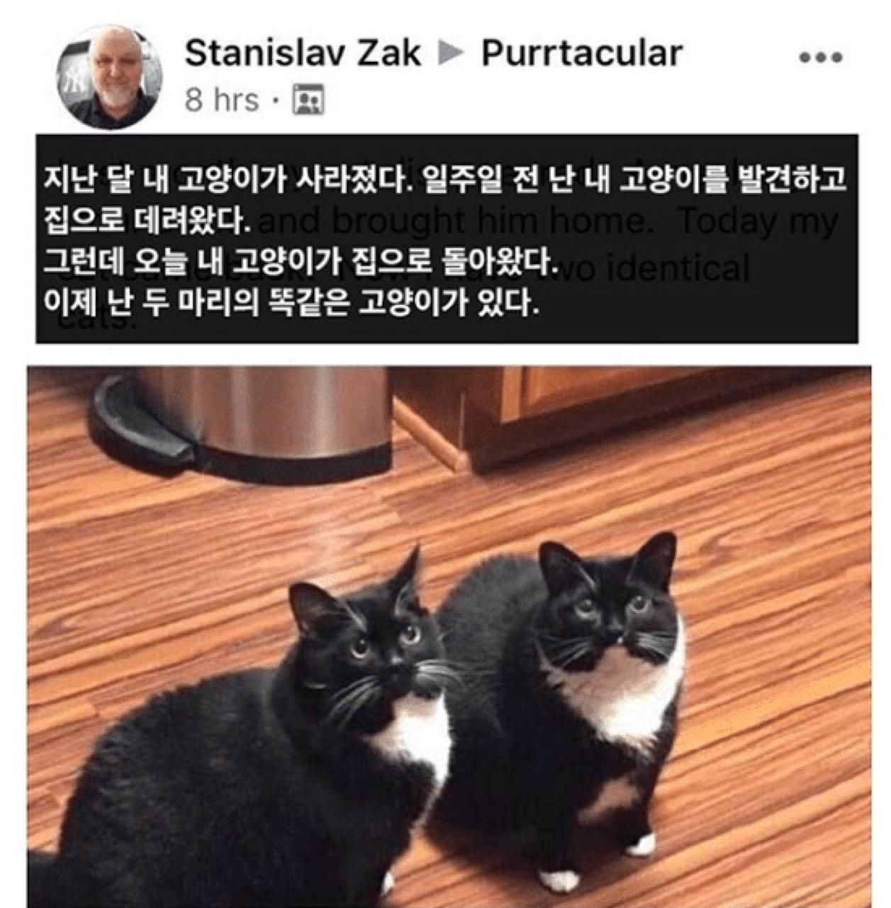 크루톡 이미지