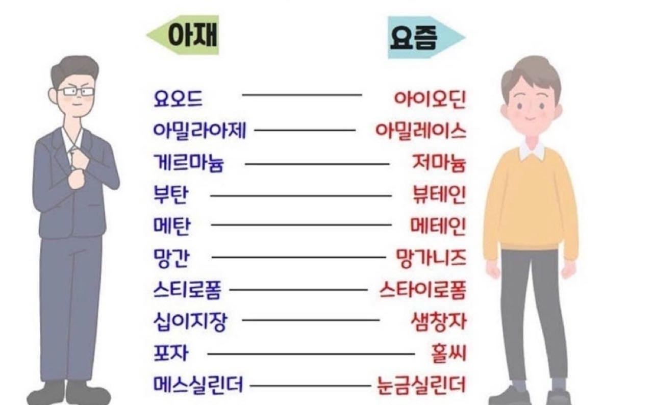 크루톡 이미지