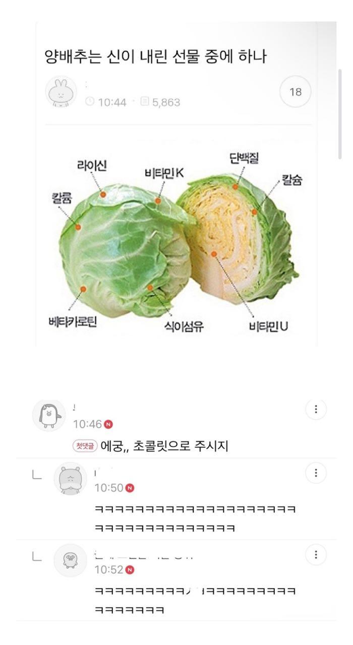 크루톡 이미지