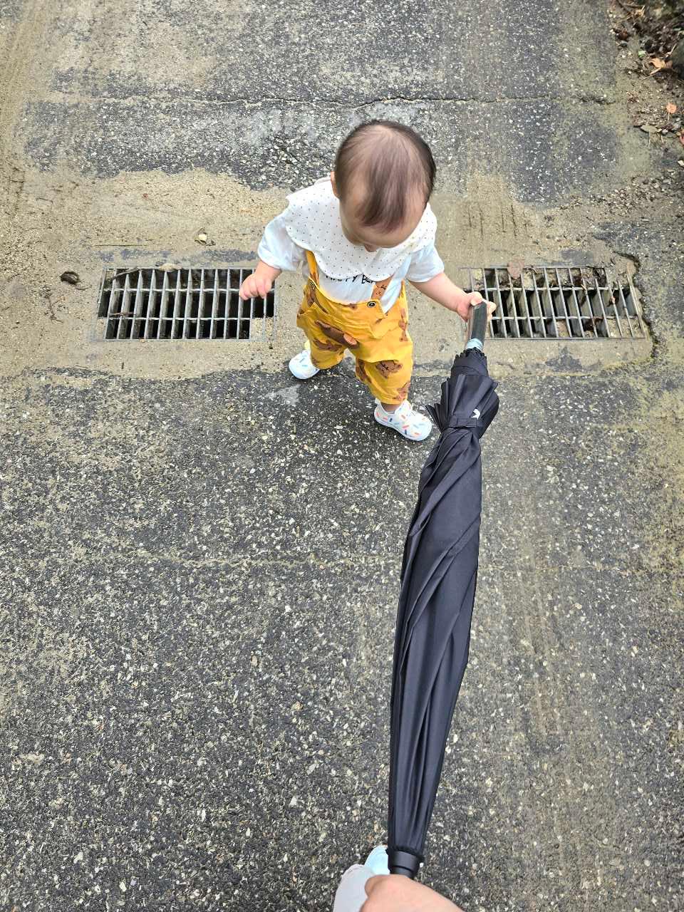 크루톡 이미지