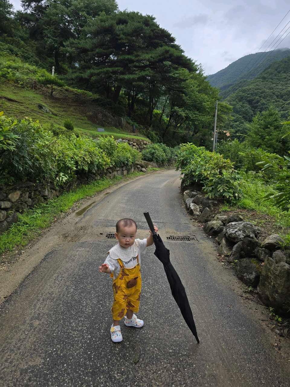 크루톡 이미지