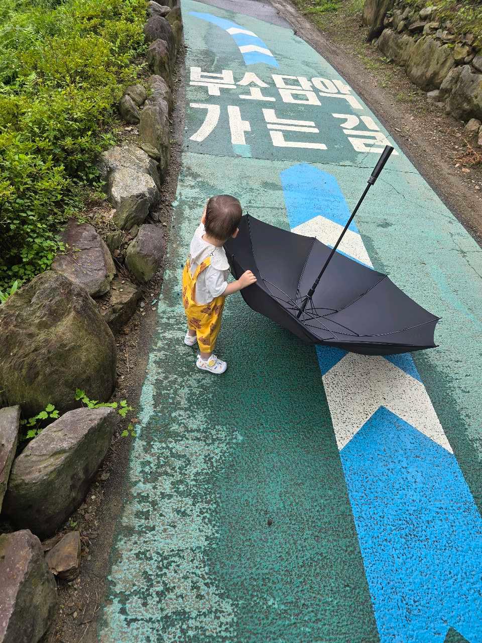 크루톡 이미지