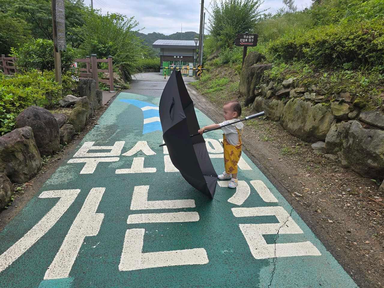 크루톡 이미지