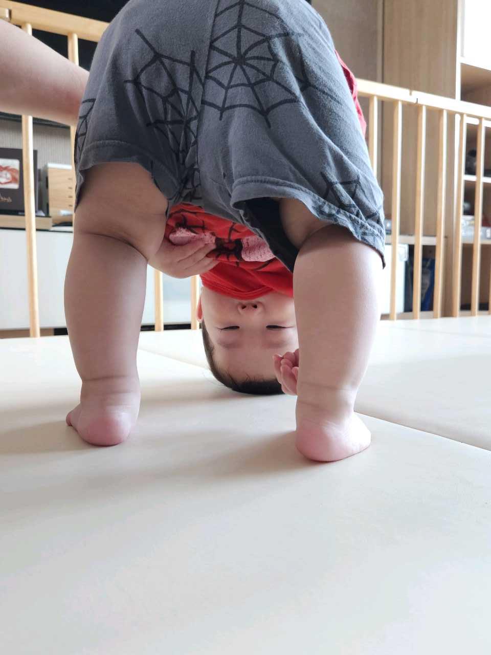 크루톡 이미지