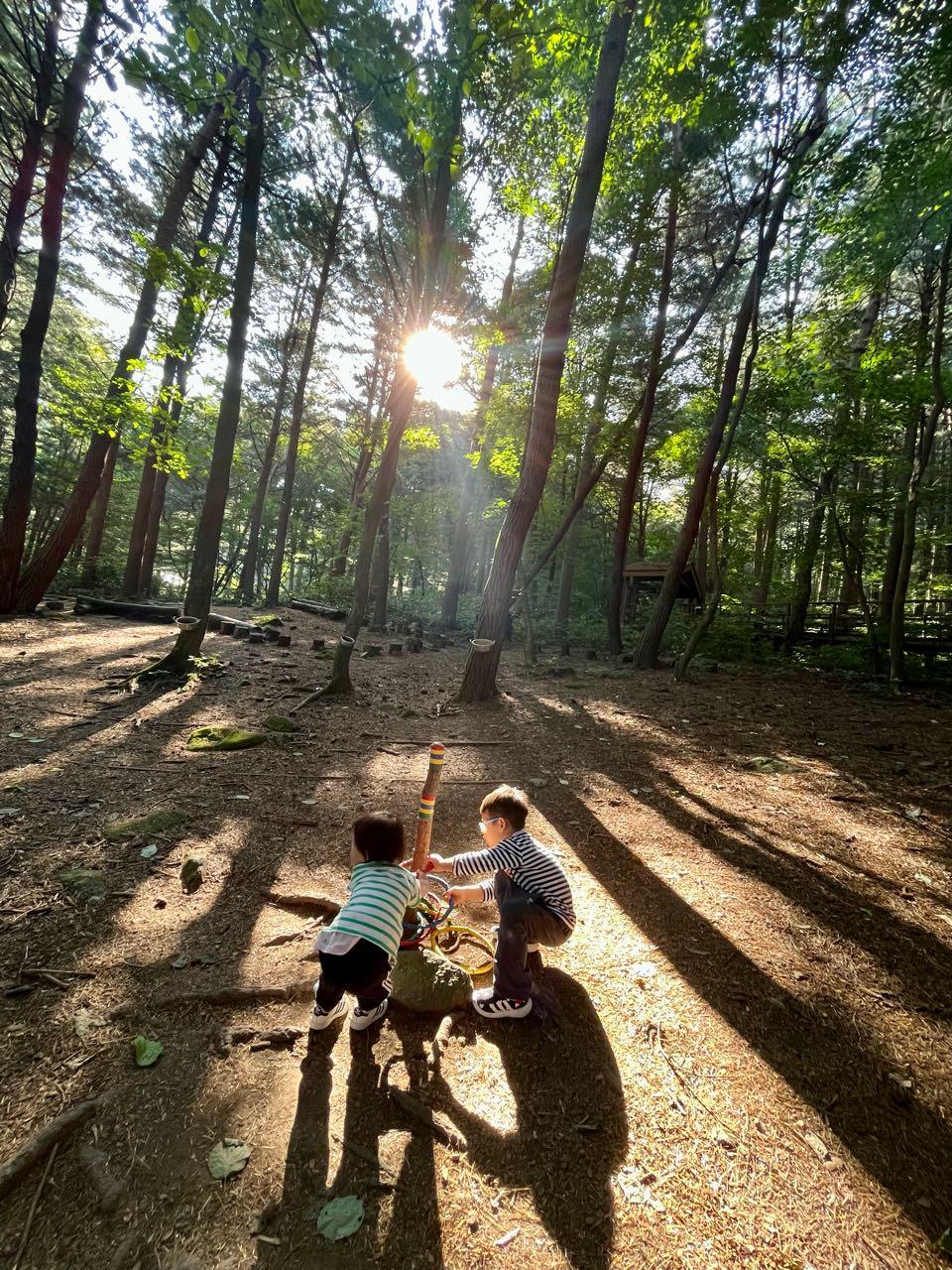 크루톡 이미지