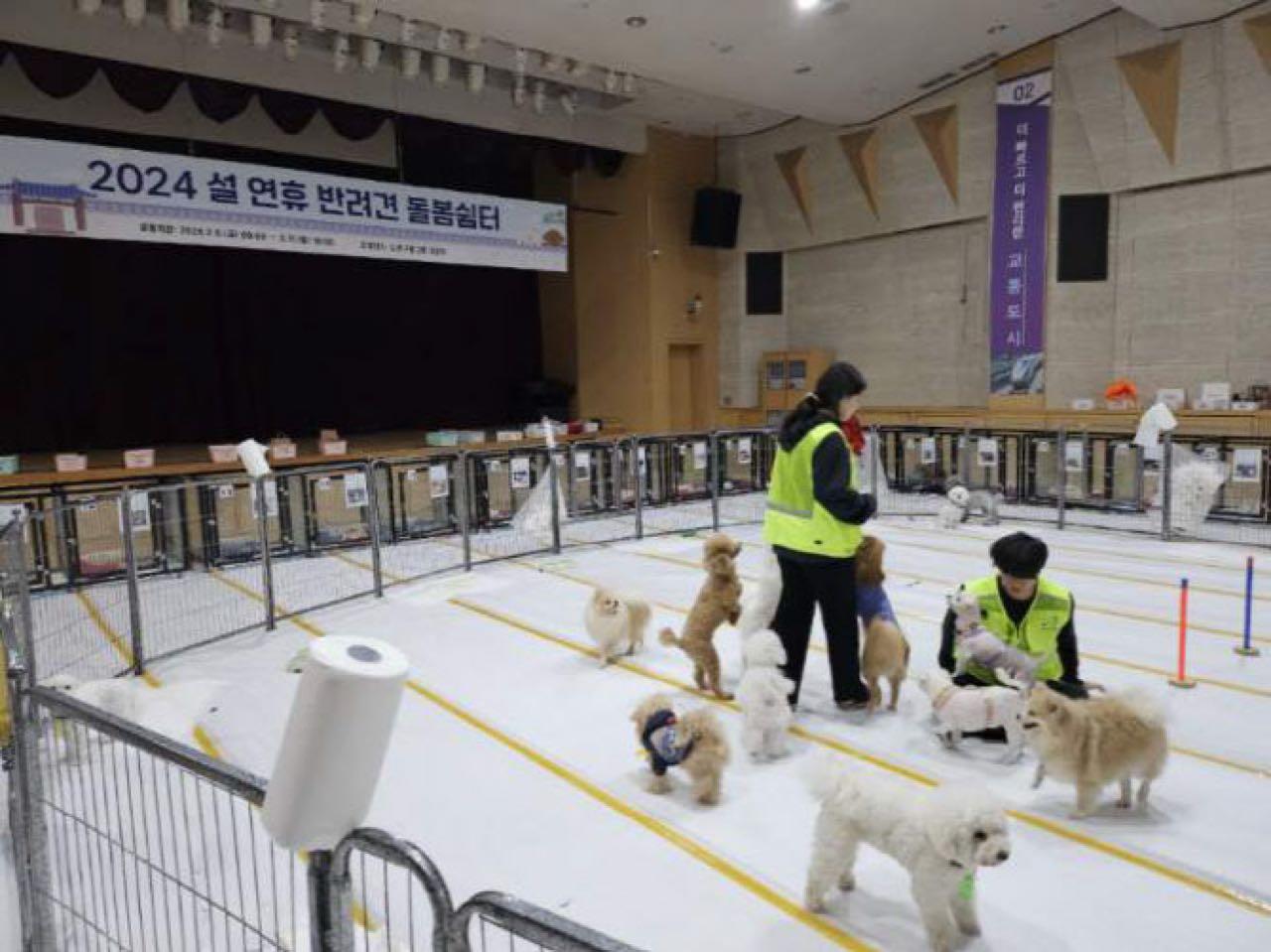 크루톡 이미지 2