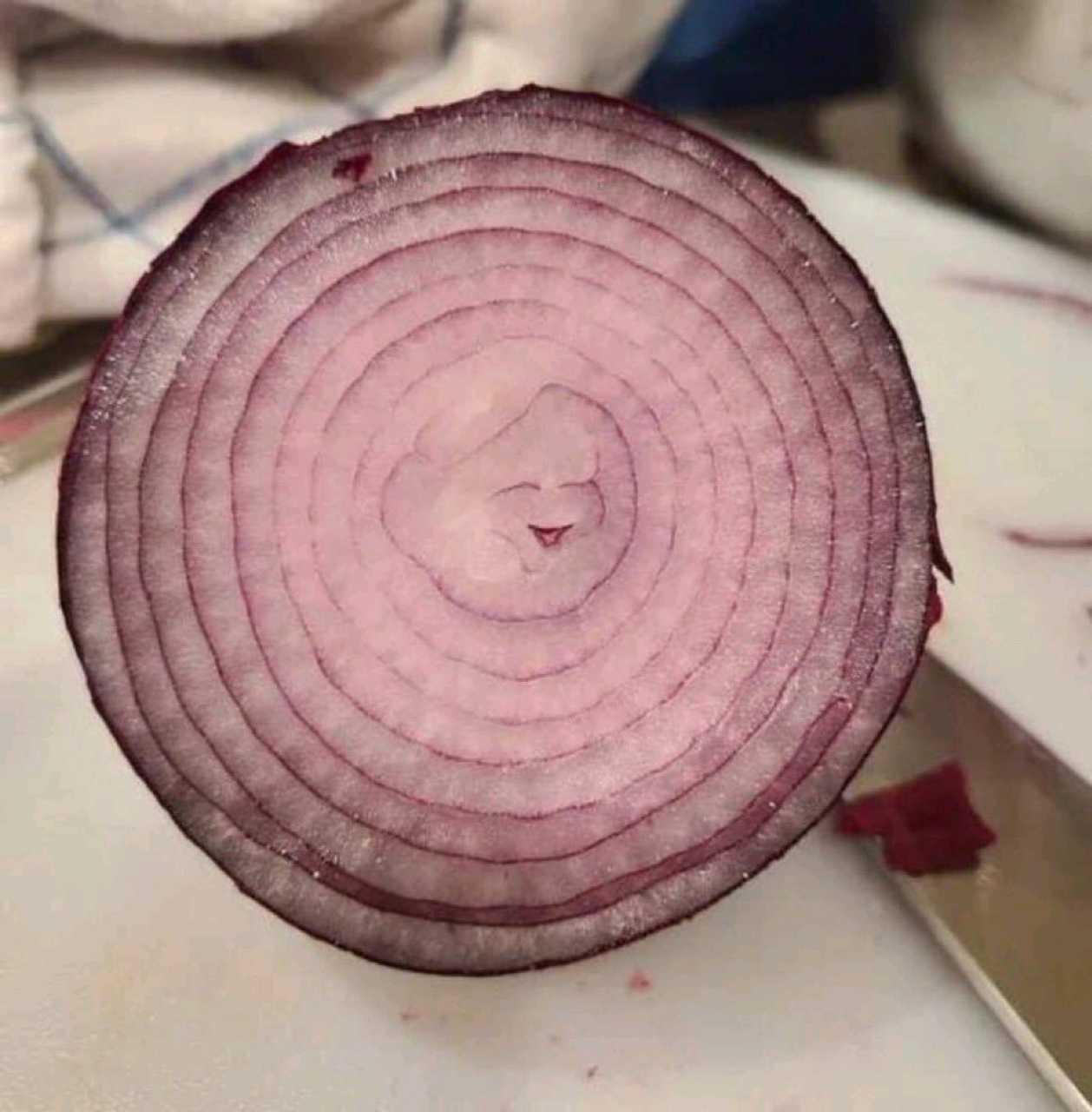 크루톡 이미지 1