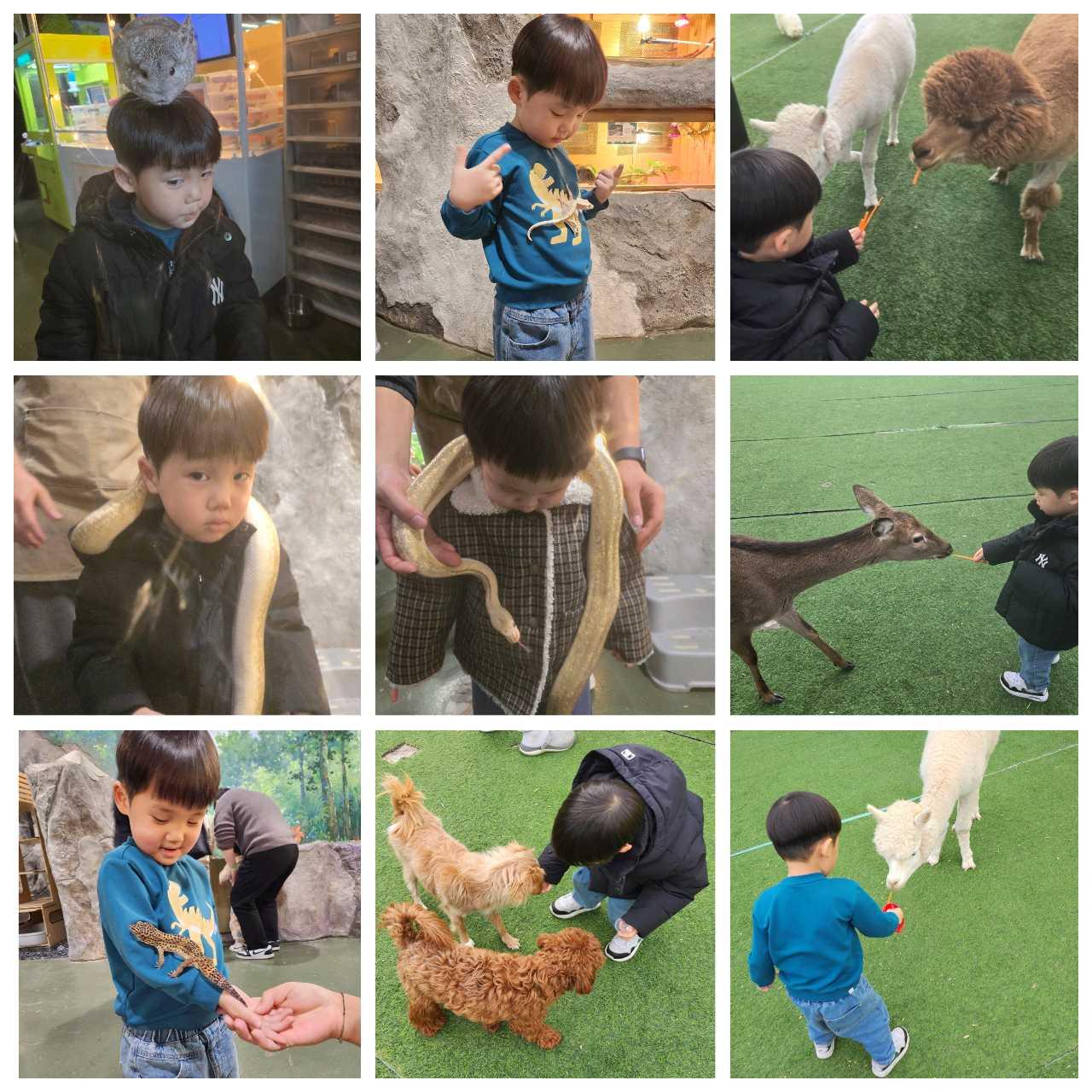 크루톡 이미지 1
