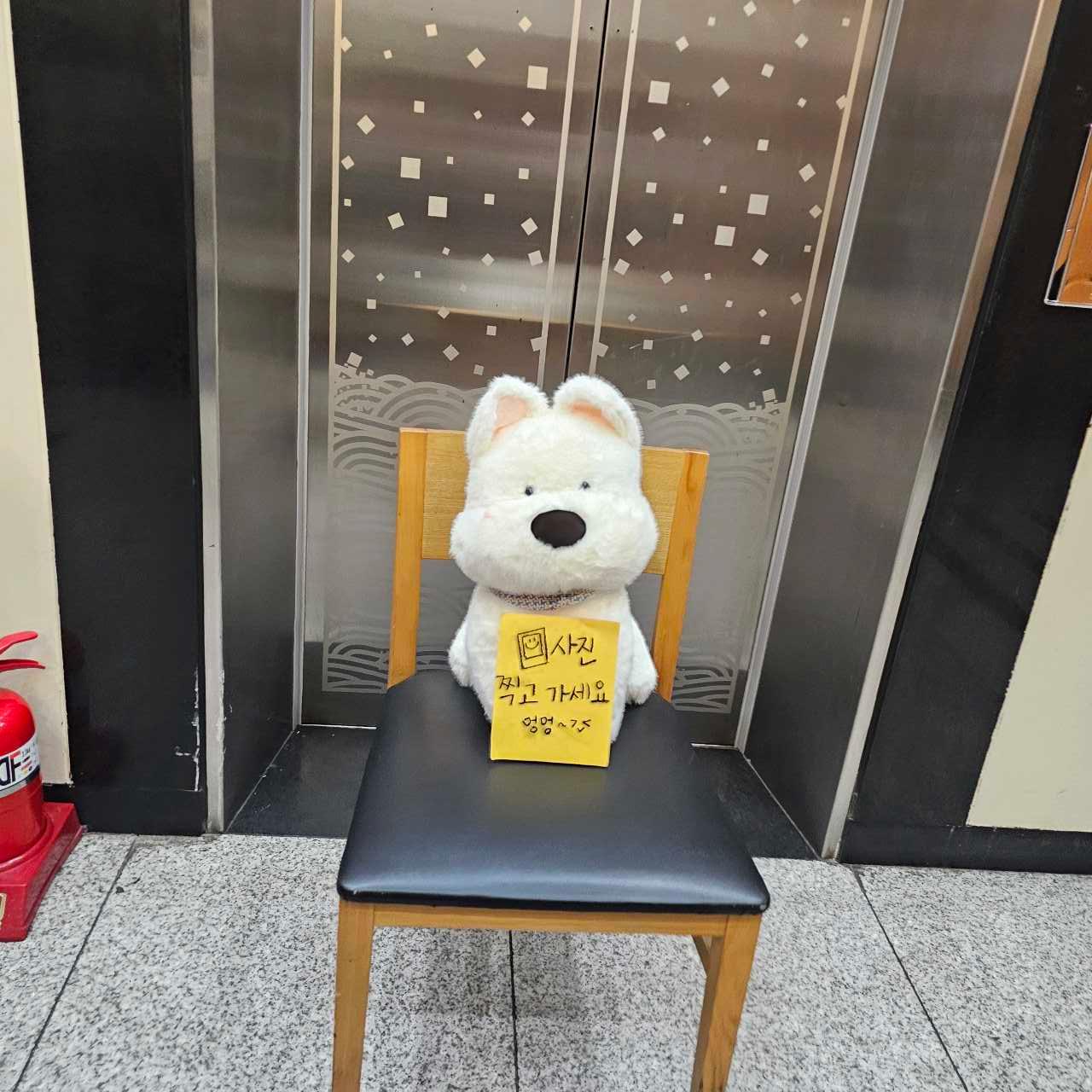 크루톡 이미지 4