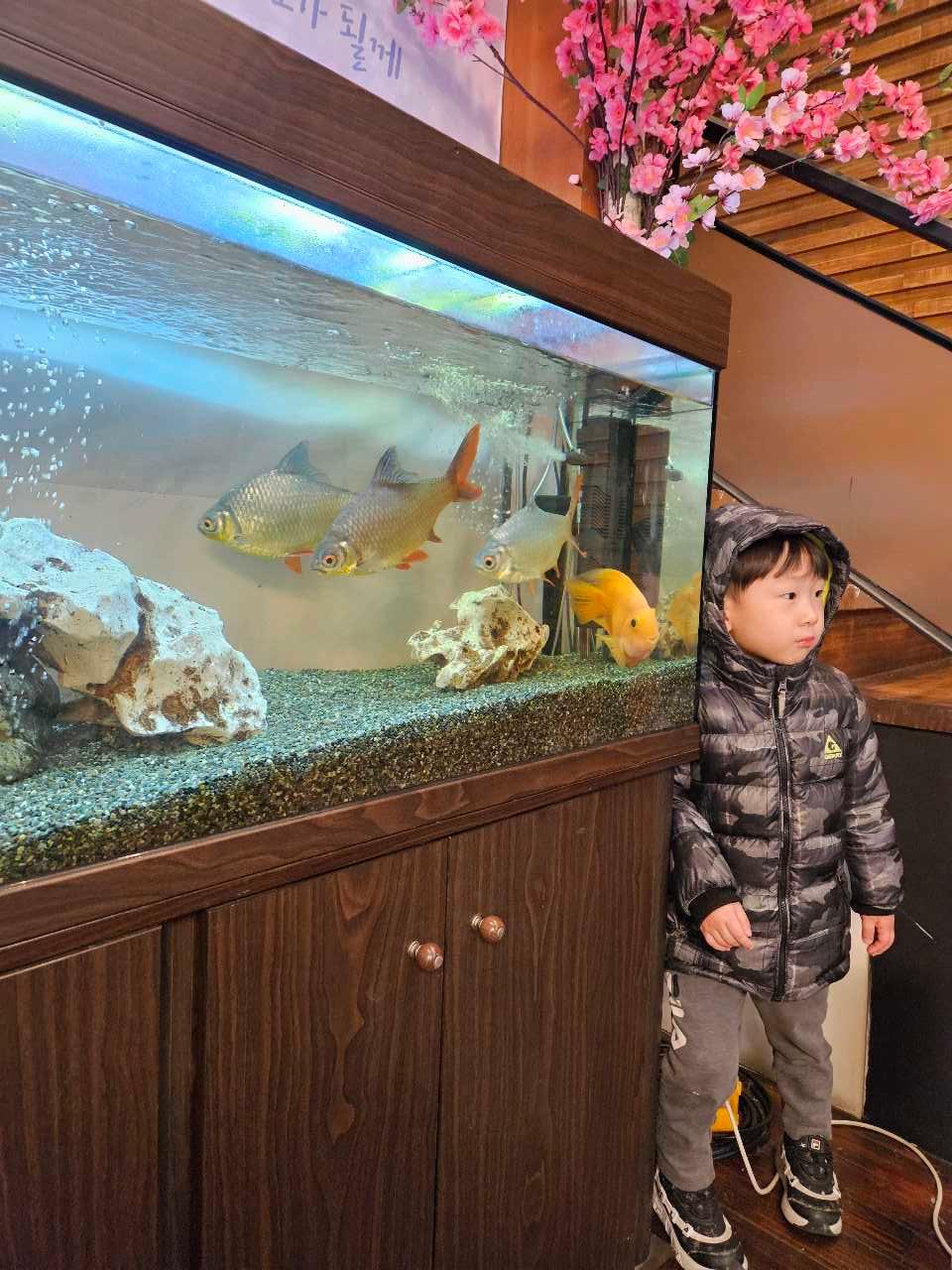 크루톡 이미지