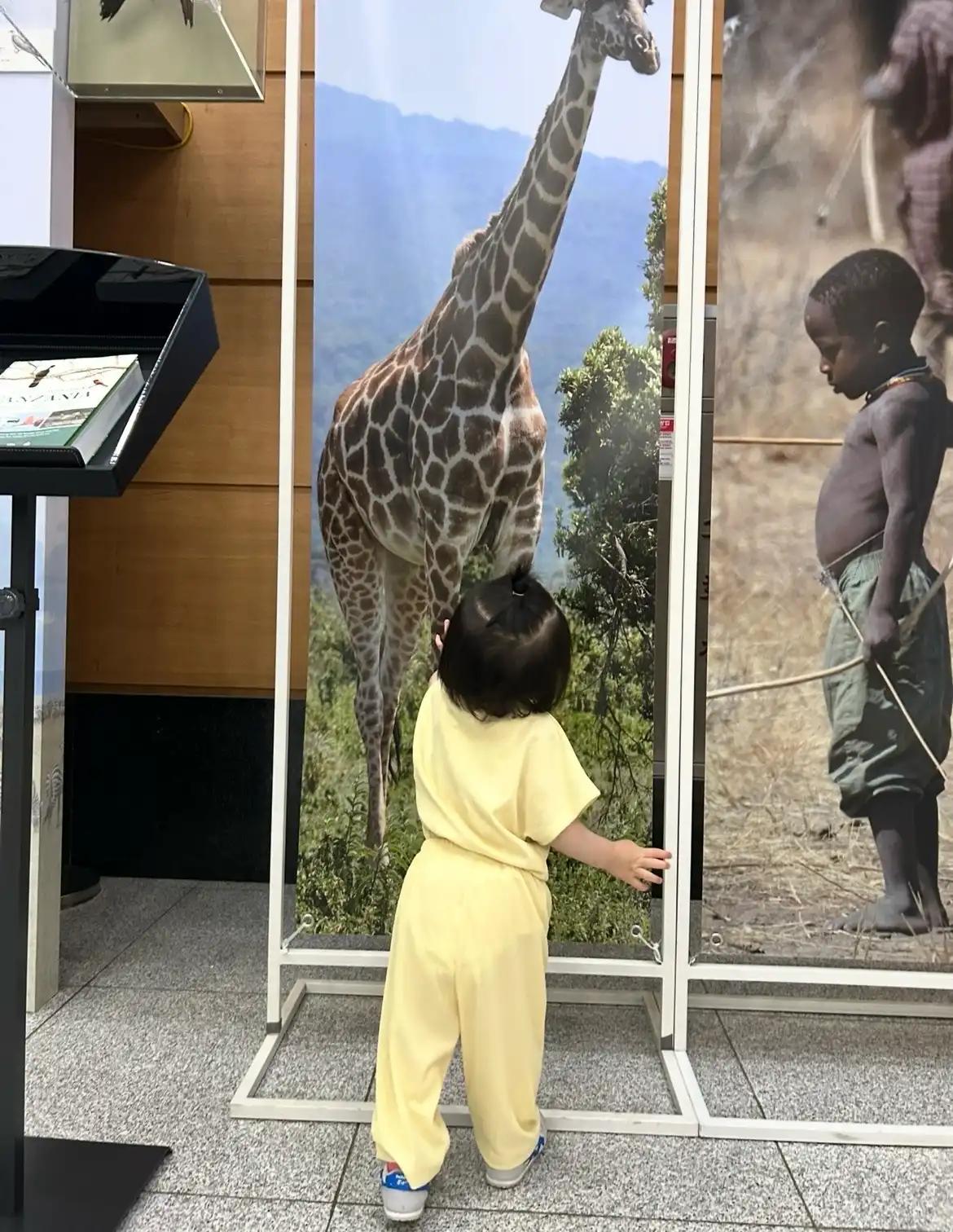 크루톡 이미지 6