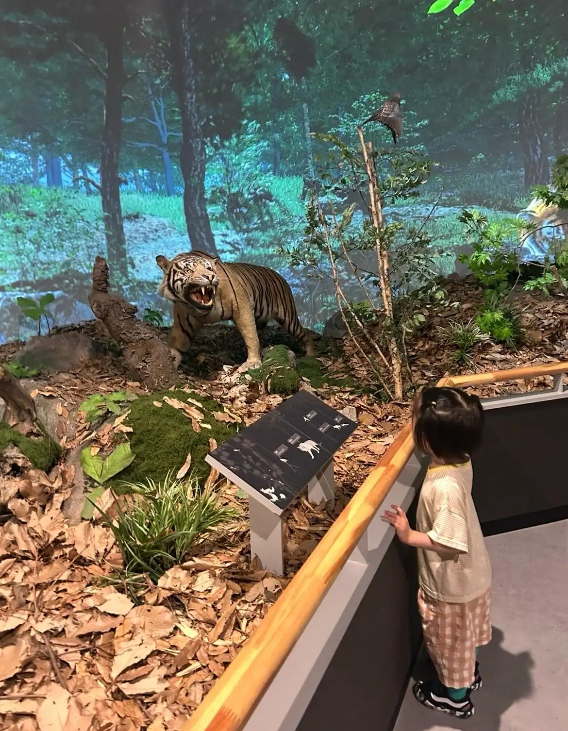 크루톡 이미지 7