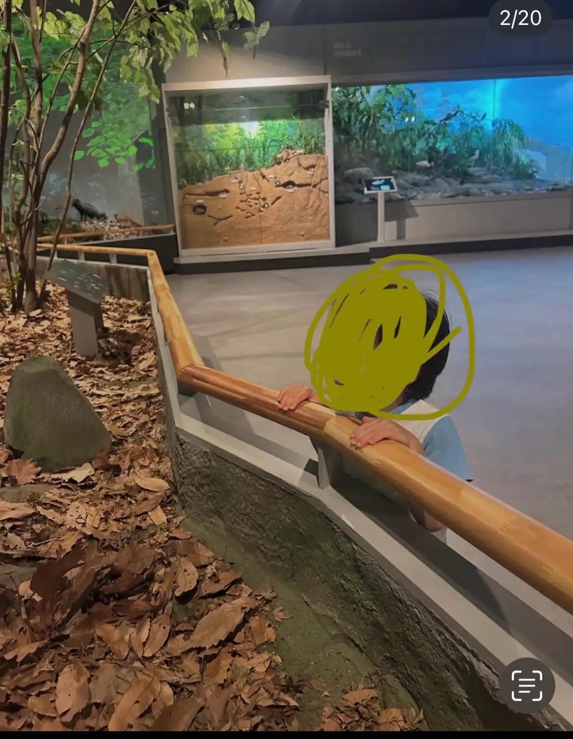 크루톡 이미지 9