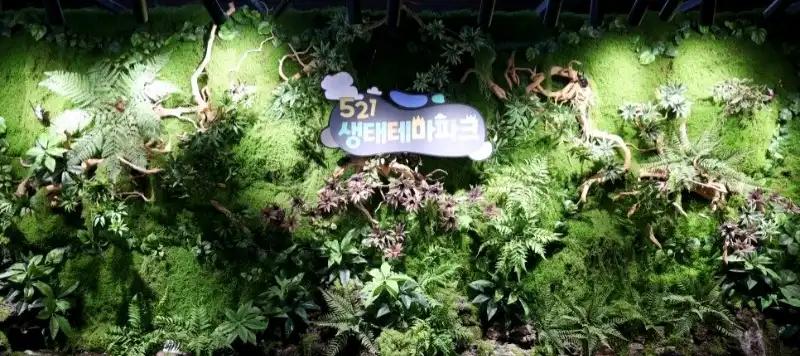 크루톡 이미지