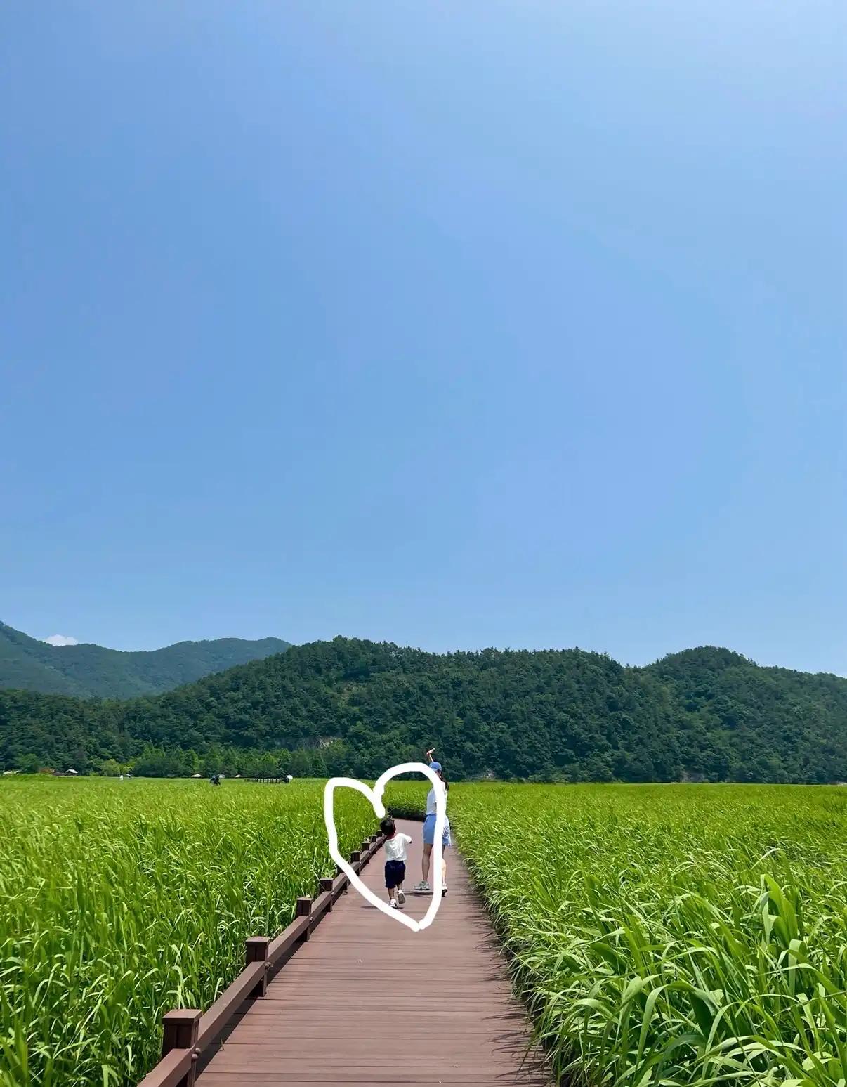 크루톡 이미지