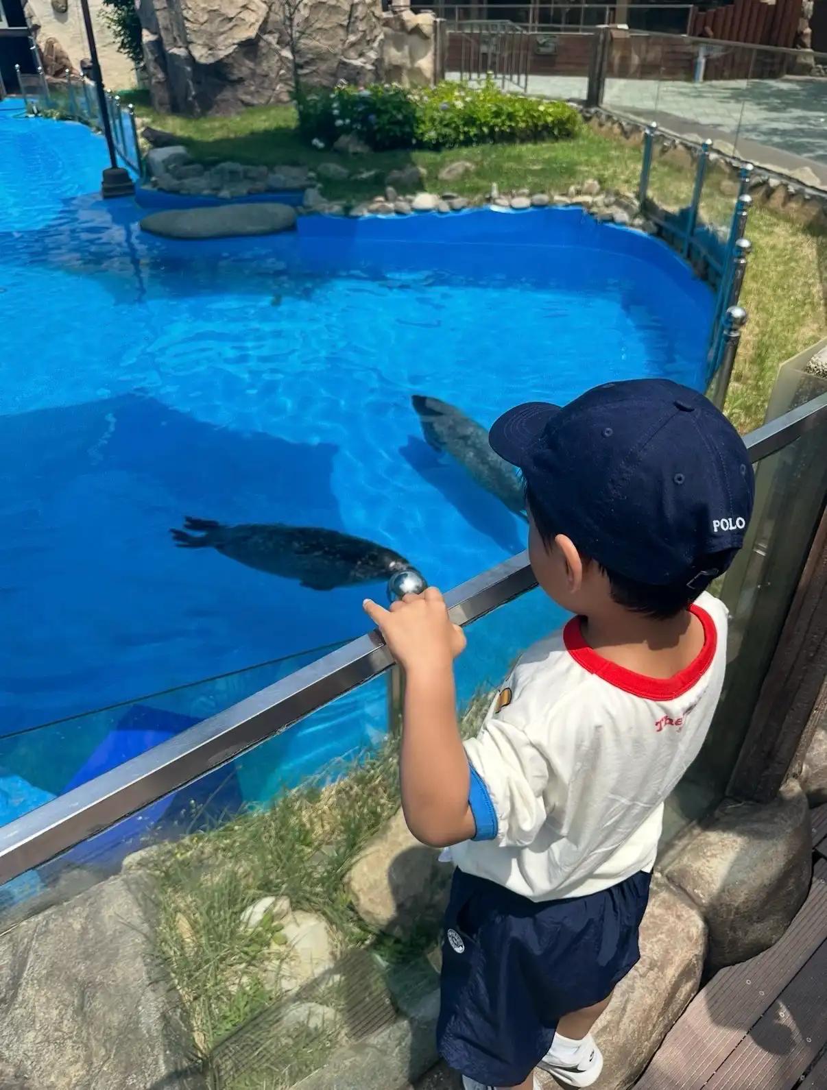 크루톡 이미지 5