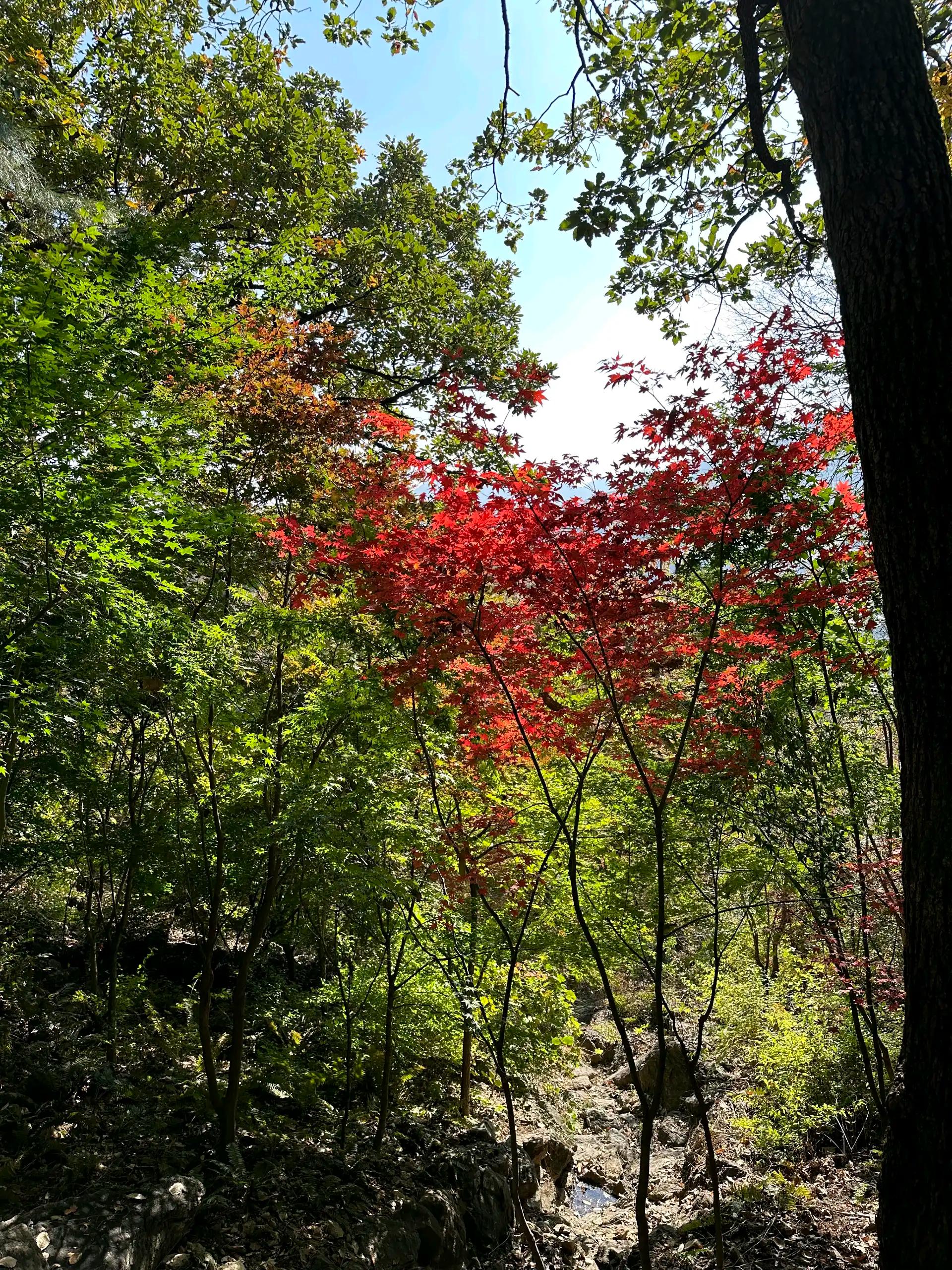 크루톡 이미지 1