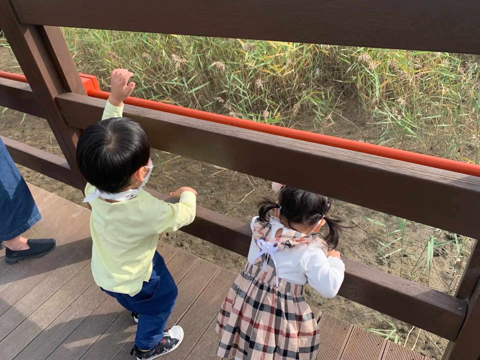 크루톡 이미지 3