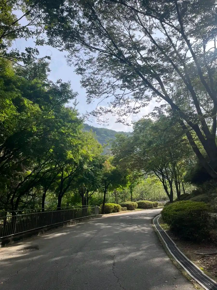 크루톡 이미지 2
