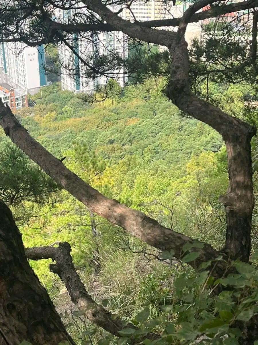 크루톡 이미지 3