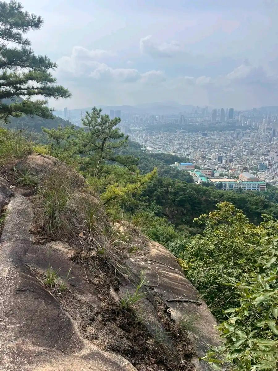 크루톡 이미지 4